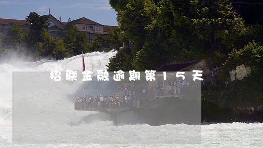 招联金融逾期第15天 招联金融逾期第15天
