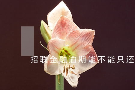 招联金融逾期能不能只还本金 招联金融逾期能不能只还本金
