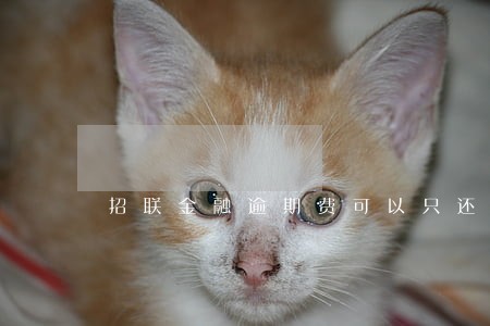 招联金融逾期费可以只还本金吗 招联金融逾期费可以只还本金吗