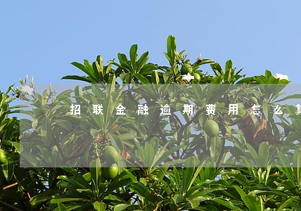 招联金融逾期费用怎么算6 招联金融逾期费用怎么算6