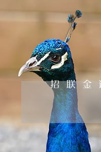 招联金逾期12331元