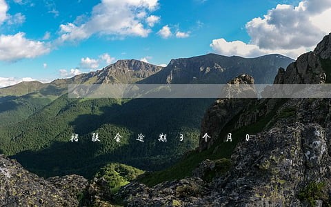 招联金逾期3个月0