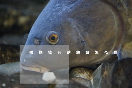 招联银行逾期会怎么样 招联银行逾期会怎么样