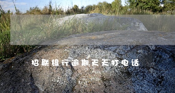 招联银行逾期天天打电话 招联银行逾期天天打电话