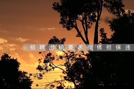招聘出纳要求提供担保违法