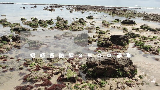 招脸金融欠2500逾期 招脸金融欠2500逾期