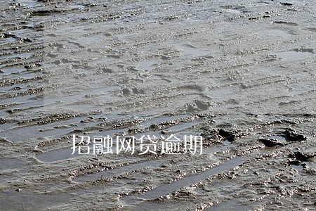 招融网贷逾期 招融网贷逾期