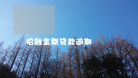 招融金联贷款逾期 招融金联贷款逾期