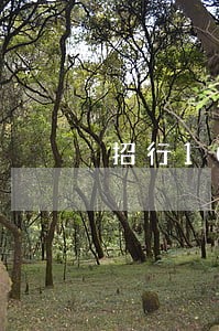 招行10000逾期一年