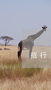 招行10万1个月逾期会上门吗 招行10万1个月逾期会上门吗