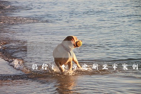 招行14万逾期坐牢案例 招行14万逾期坐牢案例