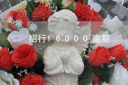 招行16000逾期 招行16000逾期
