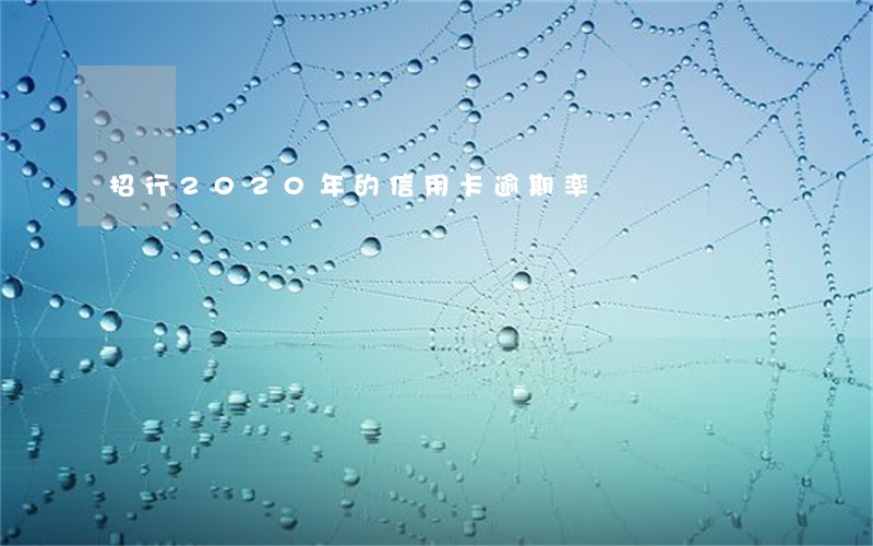 招行2020年的信用卡逾期率