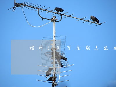 招行20万逾期怎么办 招行20万逾期怎么办