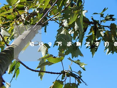 招行2万逾期三个月会有多少利息