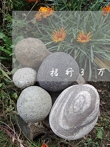 招行3万元逾期的违约金 招行3万元逾期的违约金