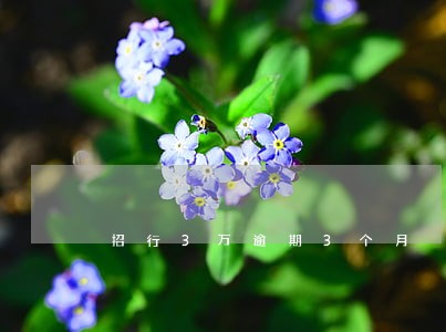 招行3万逾期3个月 招行3万逾期3个月