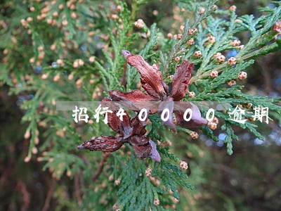 招行40000逾期 招行40000逾期