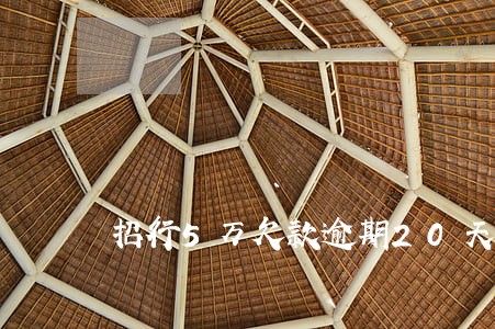 招行5万欠款逾期20天 招行5万欠款逾期20天
