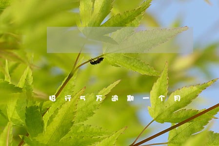 招行5万逾期一个月 招行5万逾期一个月