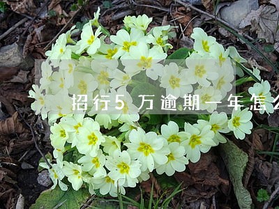 招行5万逾期一年怎么处理