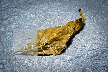 招行5万逾期一年立案上门抓人 招行5万逾期一年立案上门抓人