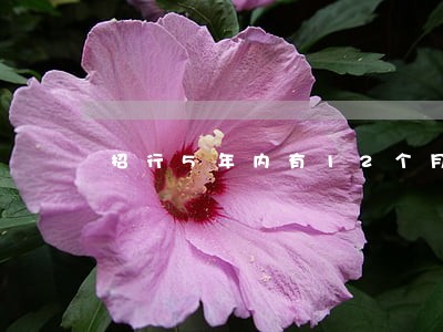 招行5年内有12个月逾期 招行5年内有12个月逾期