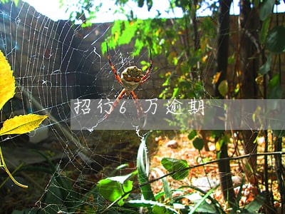 招行6万逾期 招行6万逾期