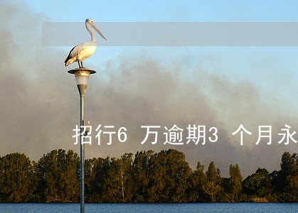 招行6万逾期3个月永久停卡 招行6万逾期3个月永久停卡