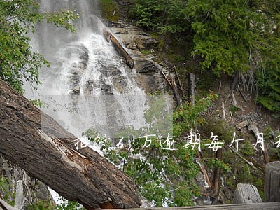 招行6万逾期每个月利息是多少 招行6万逾期每个月利息是多少