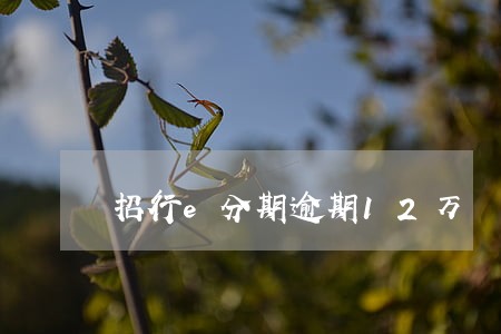 招行e分期逾期12万 招行e分期逾期12万