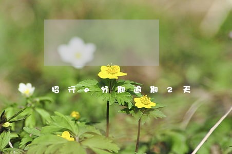 招行e分期逾期2天