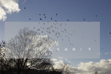 招行e招贷逾期5年 招行e招贷逾期5年