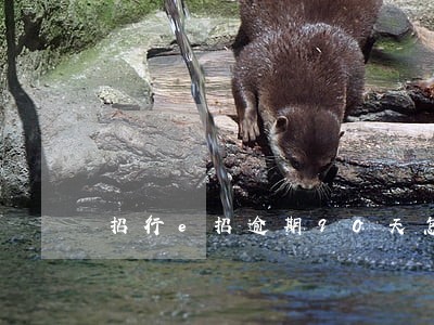 招行e招逾期90天怎么办 招行e招逾期90天怎么办