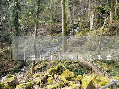 招行不同意只还本金 招行不同意只还本金