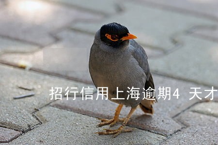 招行信用上海逾期4天才还 招行信用上海逾期4天才还