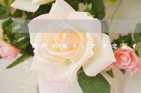 招行信用卡17万逾期半年