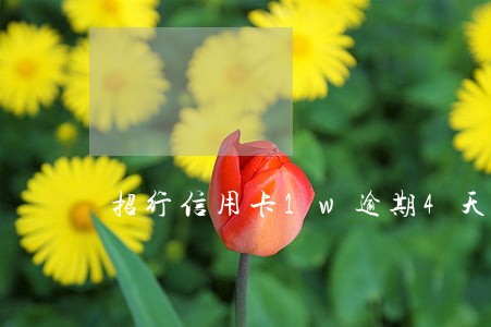 招行信用卡1w逾期4天