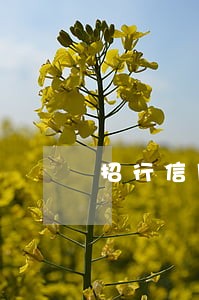 招行信用卡2年逾期10次