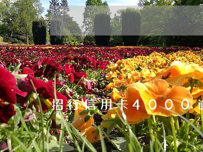 招行信用卡4000逾期三月 招行信用卡4000逾期三月