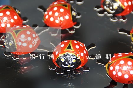 招行信用卡5w逾期 招行信用卡5w逾期