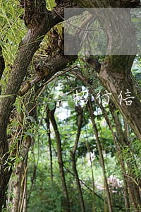 招行信用卡6万逾期 招行信用卡6万逾期