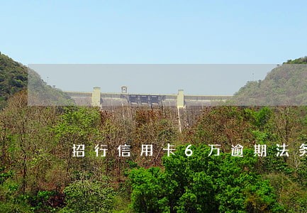 招行信用卡6万逾期法务打电话