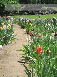 招行信用卡e分期逾期 招行信用卡e分期逾期