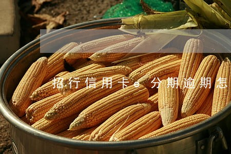 招行信用卡e分期逾期怎么办