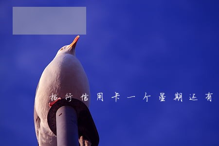 招行信用卡一个星期还有逾期吗
