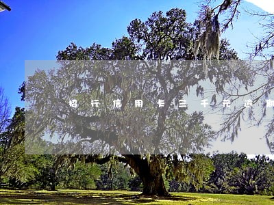 招行信用卡三千元逾期