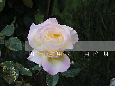 招行信用卡三月逾期