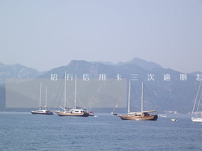 招行信用卡三次逾期怎么办 招行信用卡三次逾期怎么办