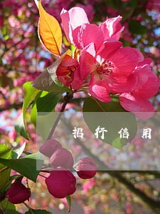 招行信用卡不小心逾期 招行信用卡不小心逾期